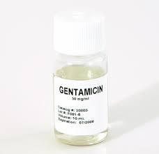 Gentamicin Solution (50mg/ml) Gentamicin Solution (50mg/ml)